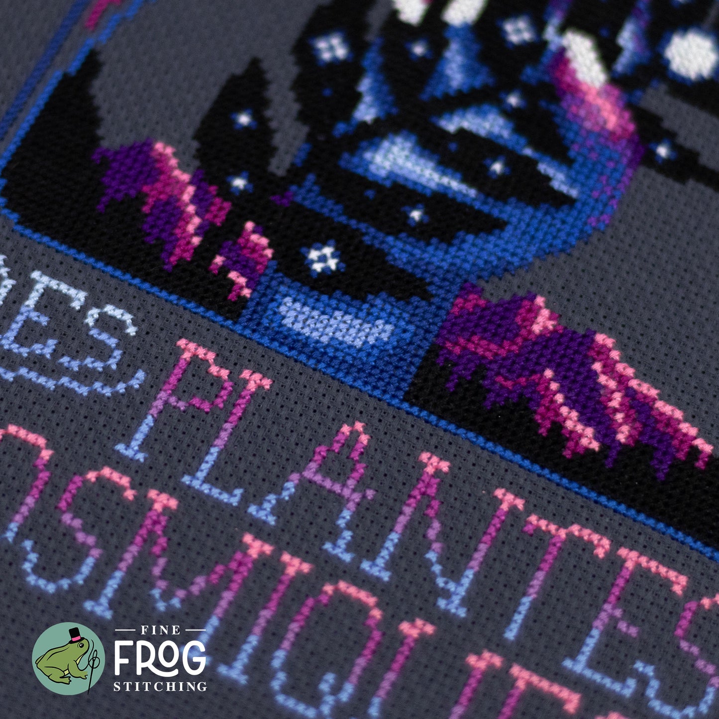 Celestial Botanical Dark Academia Cross Stitch Pattern PDF Colorful Fantasy Potion Space Cosmic Plant Book Stitched Detail